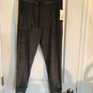 Stars Above - velvet joggers NWT gray